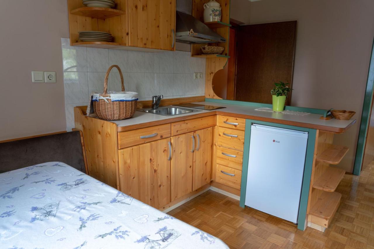 Apartments Maja By The River Bohinj Extérieur photo