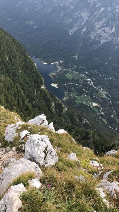 Apartments Maja By The River Bohinj Extérieur photo